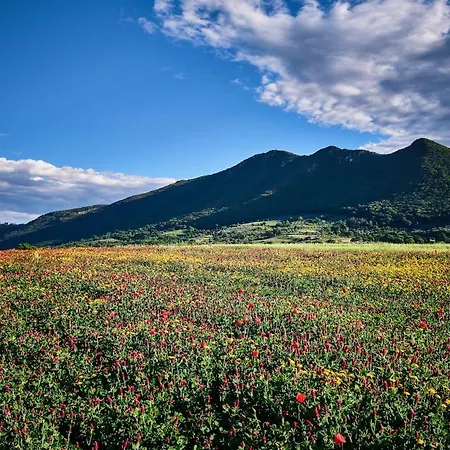Holiday home La Casina Sui Tetti *