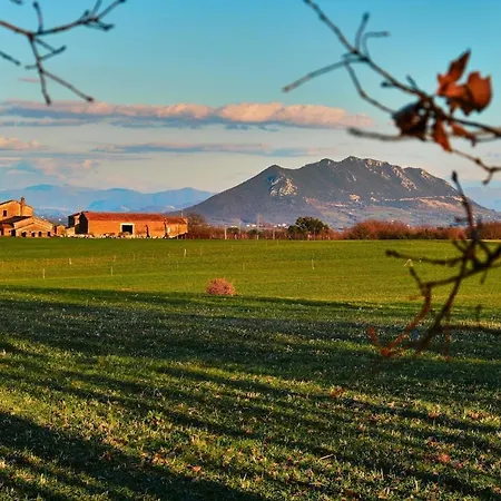 La Casina Sui Tetti Casa vacanze Sant'Oreste